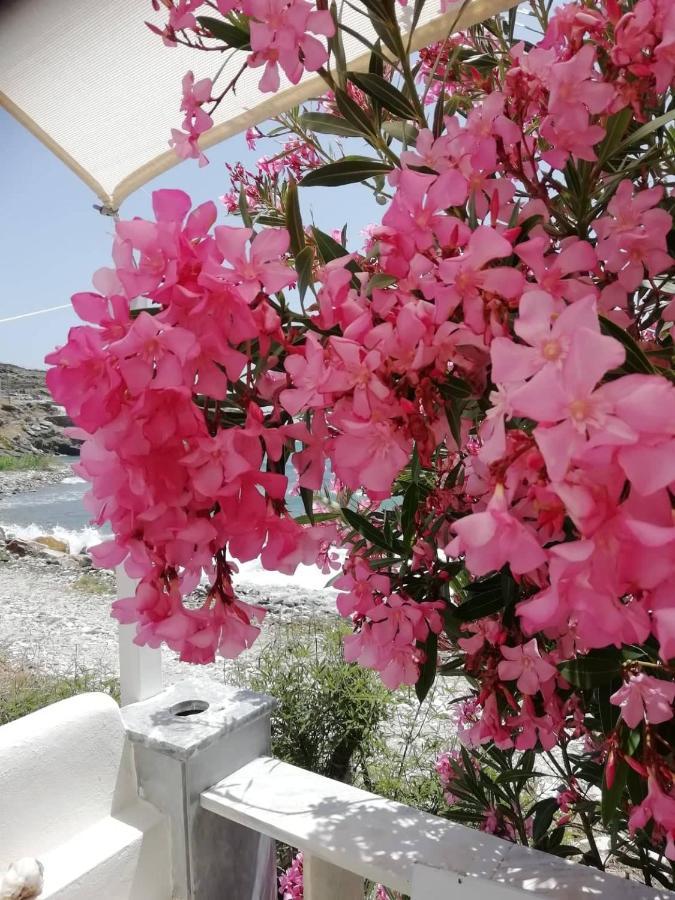 Villa "Sea Front" Rose'S House Kardhianí Exterior foto